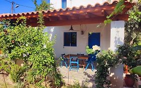 Lianas Garden House
